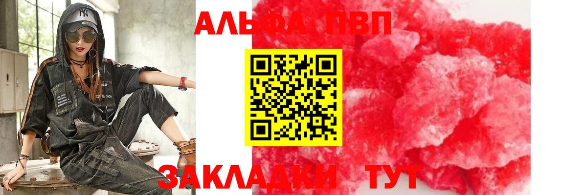 A PVP СК Саранск