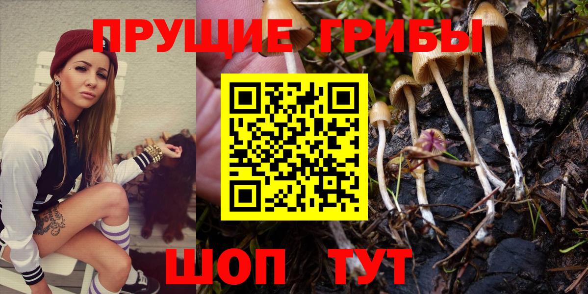 Саранск  Галлюциногенные грибы мицелий  закладка  Галлюциногенные грибы Psilocybe  Вход с VPN 