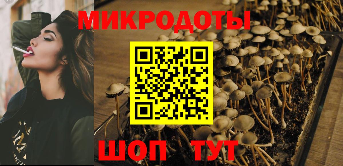 Галлюциногенные грибы Cubensis Саранск